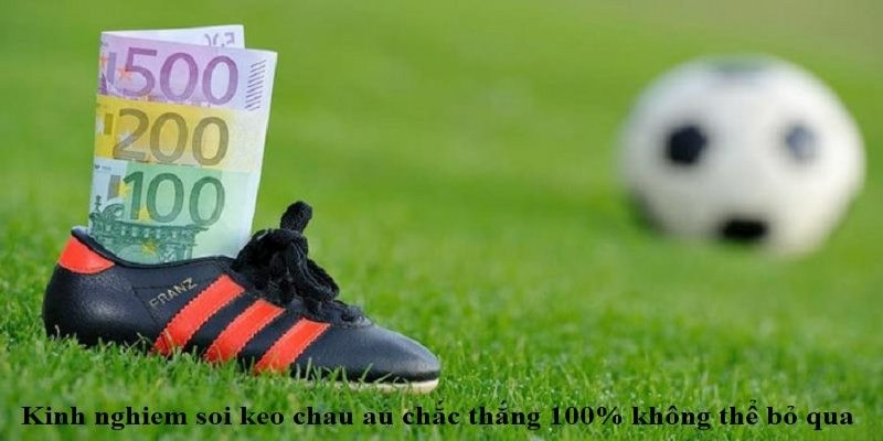 Các cửa cược có trong kèo